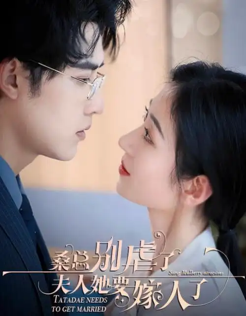 长夜列车热播电视剧全集免费在线观看